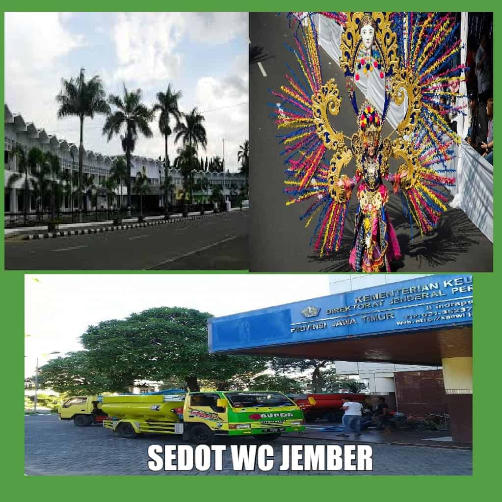 jasa sedot wc jember murah