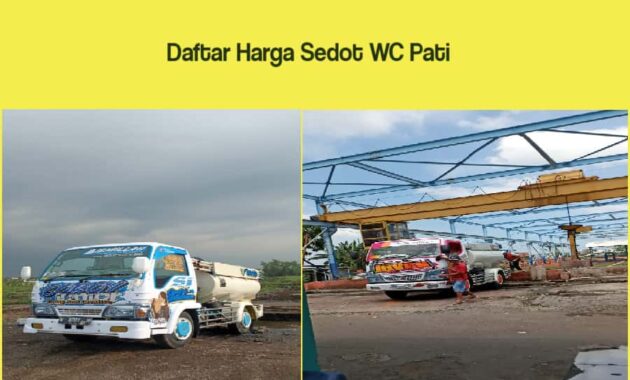 sedot wc pati harga murah