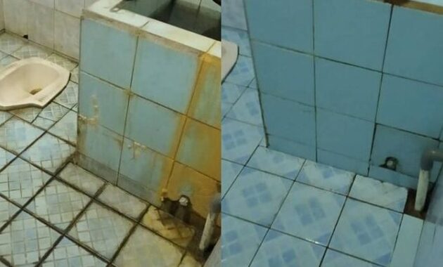 cara membersihkan lumut kamar mandi