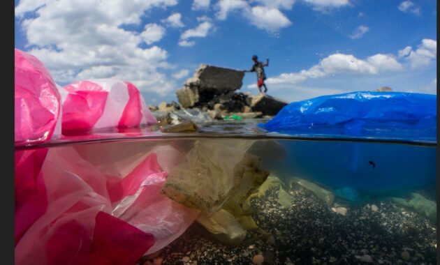 6 Proses Daur Ulang Limbah Plastik yang Tepat 2 cara melakukan daur ulang sampah plastik