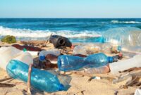 daur-ulang-sampah-plastik