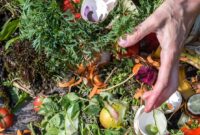contoh-sampah-organik-tips