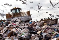cara-mengolah-sampah cara-mengolah-sampah