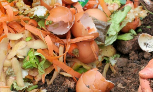 sampah keras organik