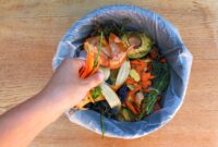 apa-itu-jenis-sampah-organik apa-itu-jenis-sampah-organik